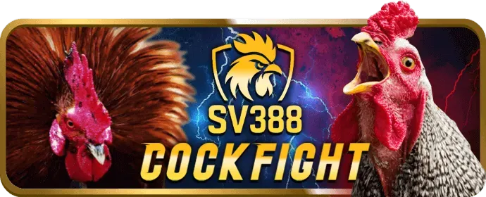 Sân vận động bóng đá với trái bóng đang lăn, tượng trưng cho cá cược bóng đá tại i9bet100 code